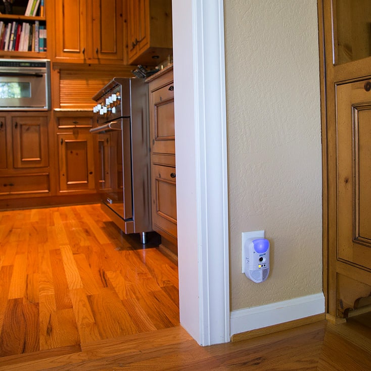 amazon indoor ultrasonic pest repeller protecting kitchen
