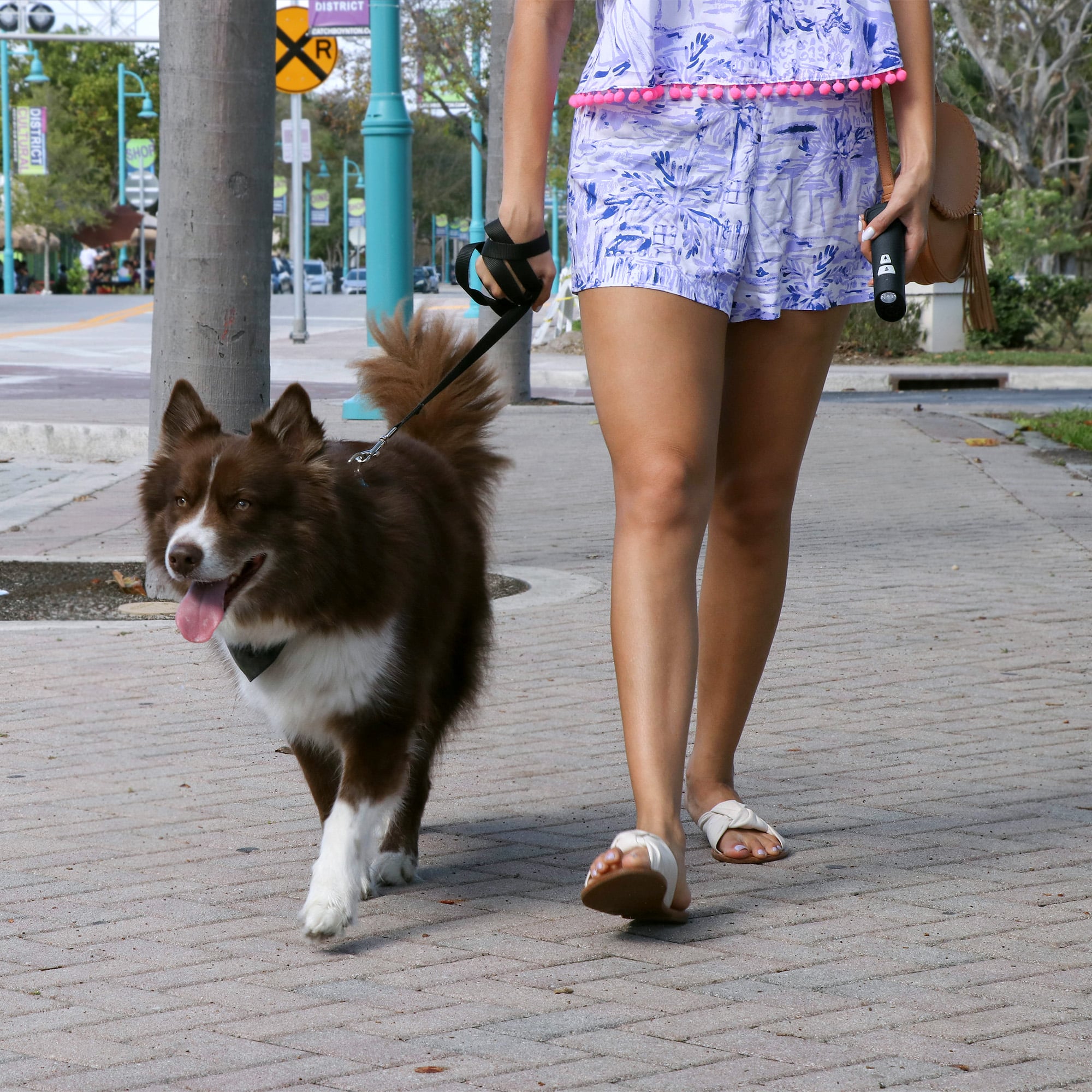 woman walking dog while holding Onguard dog trainer