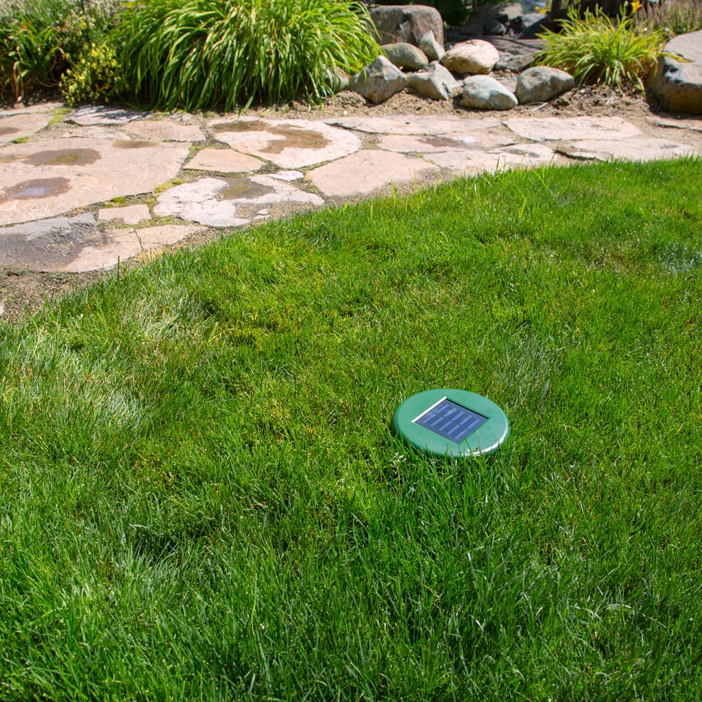 solar safeguard burrowing rodent repeller installed in backyard protecting grass from destruction