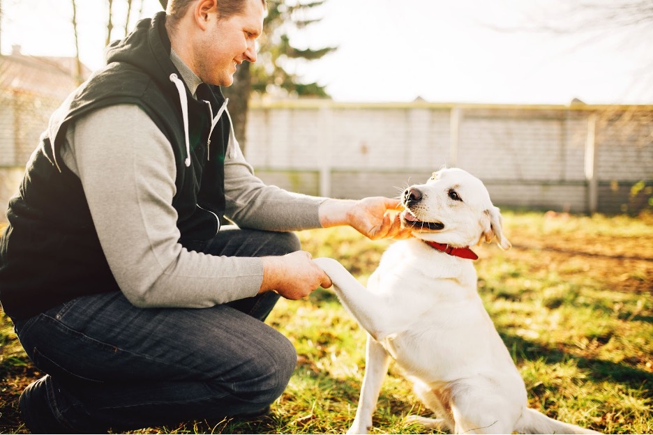 A person feeding their dog a treat.