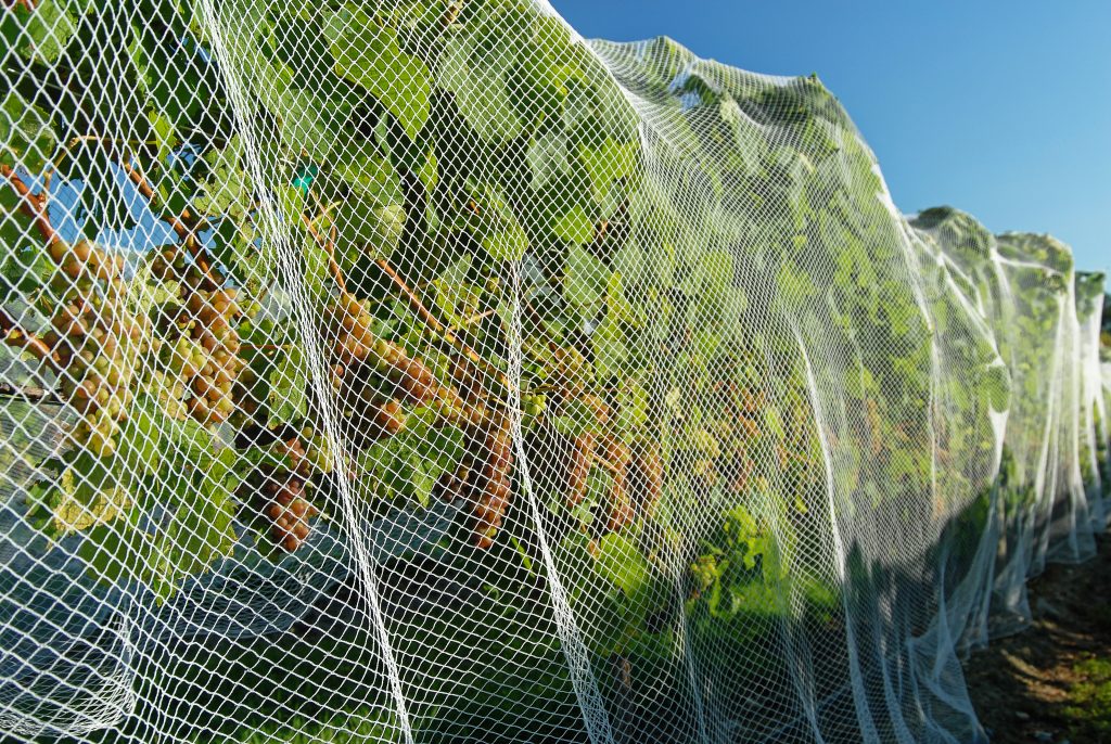 Bird netting is a bird control product that is not quite as effective as some of the other options.
